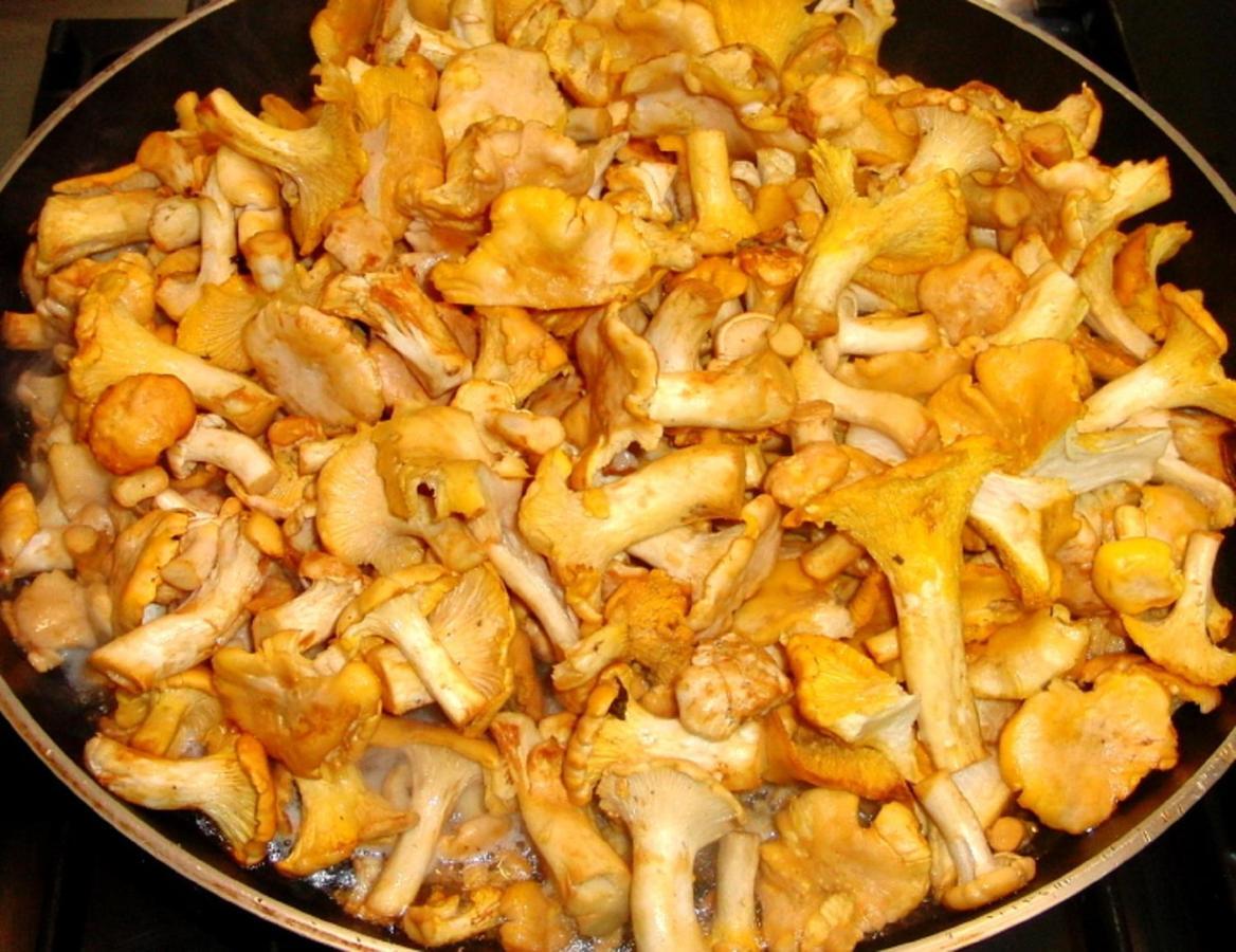 Chambres D'Hotes Les Peyrouses 사흘라 라 카네다 외부 사진